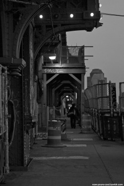 now-youre-cool:  on the Manhattan Bridge
