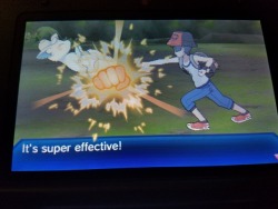 nuggetlumps: wonderhecko: they finally let you beat up the pokemon