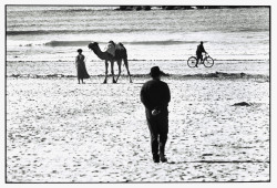 hauntedbystorytelling: Elliott Erwitt :: Agadir, Morocco, 1973