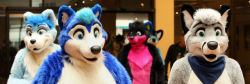 dnotive:  cracked:  Not all furries are interested in dressing