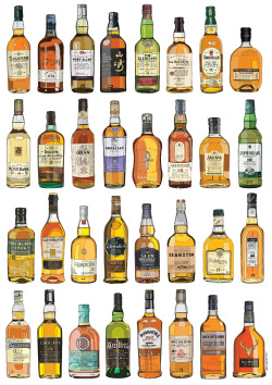 whiskeytimes:  Keep building your single malt collection. Taste