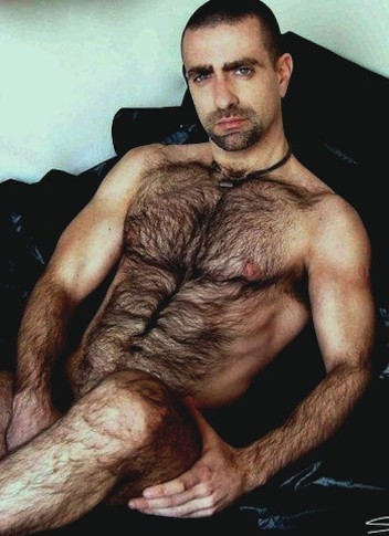 onlyveryhairy:ramhound:Bellissimo