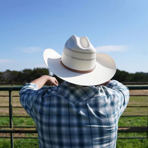 mexicancowboy-deactivated202111:Come ride me? 