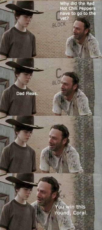 organic-crystal-meth:  The walking dead// Rick Grimes dad jokes the walking dead// rick grimes dad jokes REDUX