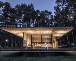 utwo:Forest House© federico kulekdjian