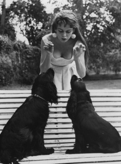 Brigitte and her puppies All VintageBooty followers get 11% off