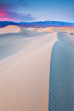 simobutterfly:  Where to? by Jared Ropelato on Flickr.White sand,