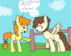 mini-scootaloo:  Pumpkin Cake you’re embarrassing my new baby