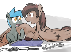 whatisapokemon:  Cute fixer horses discussing fixer-horse related