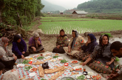 hopeful-melancholy:    Iranian women share lunch after planting