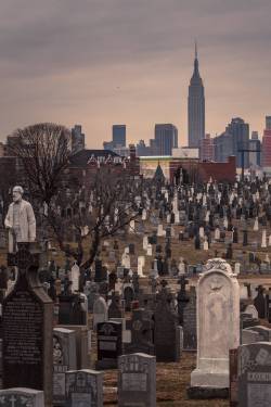 citylandscapes:  “City of the Dead” - Calvary Cemetery,