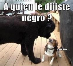 MINIGAG