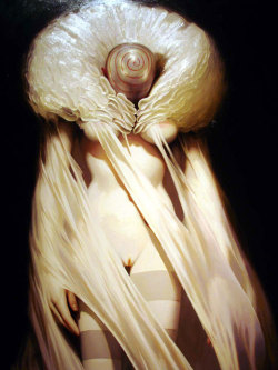 noveltymakesalchemy:  Contemporary oil painter Michael Hussar. 