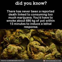 did-you-kno:  There has never been a reported death linked to