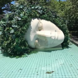 negativepleasure:at 箱根彫刻の森美術館 - The Hakone