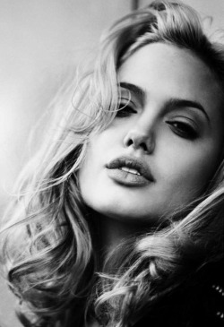myperfect10s:  angelina jolie  