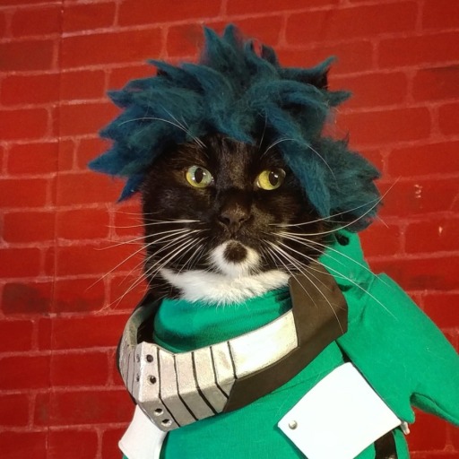 cat-cosplay:Caturday mood.