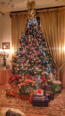 Grandma’s Christmas Tree is awesome!!   I wish you all