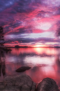 sundxwn:  Never Surrenderby Pedro Quintela