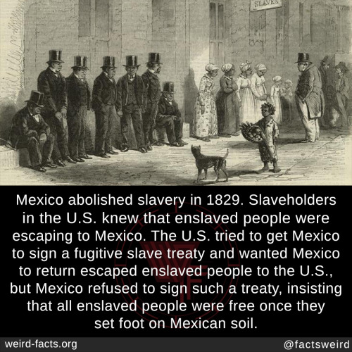 yopepeus:mindblowingfactz:Mexico abolished slavery in 1829. Slaveholders
