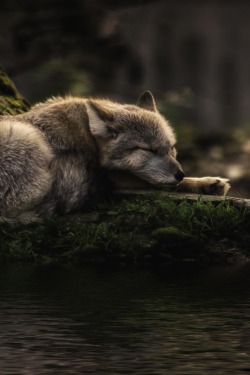 tect0nic:  Sleeping where the waters flow by Michael Rehbein