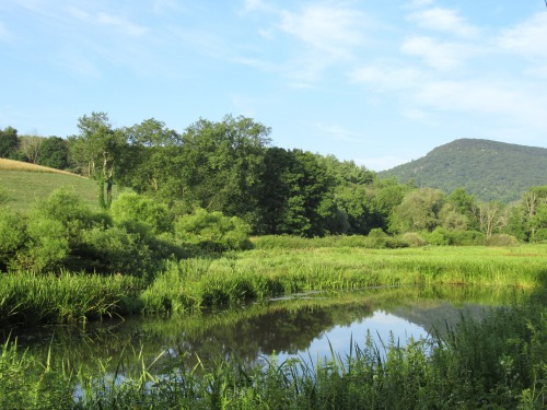 geopsych:  geopsych:Summer, autumn, and winter at the small pond. 