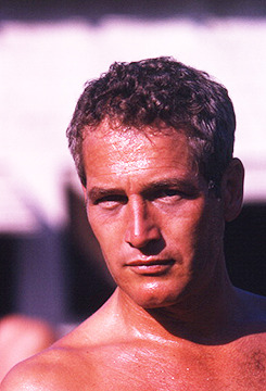 avagardner:  Paul Newman on the set of the film ‘Cool Hand