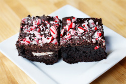 gastrogirl:  fudge peppermint candy cane oreo brownies. 