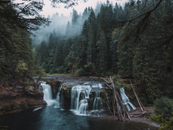 exhalate:  ponderation:  Foggy Mornings in Washington by Alex