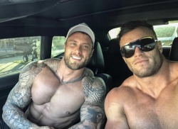 orthobull: musclecorps:   Car muscle  
