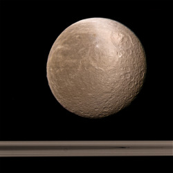 astronomyblog:  Rhea moon image 