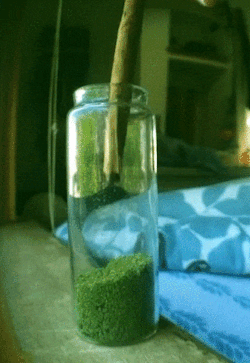 666-grams:  I used some of the kief I’ve saved up for a while today :) Mamadivaa.tumblr.com 