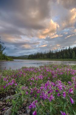 rediscoveringearth:Spring in Alaska | by Bob Wick