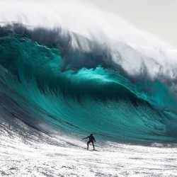 surfysurfy:  #big #enormous #omg #wave #hugewave #human #surfing