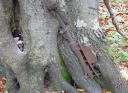 sixpenceee:  These World War 2 equipment have been swallowed
