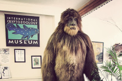 unexplained-events:  International Cryptozoology Museum The world’s