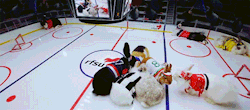 owlberta:  captfatpants:  rabbit hockey??????  EEP 