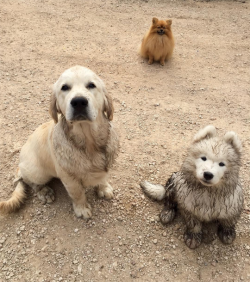 tastefullyoffensive:  Smug smile because she’s not in trouble.