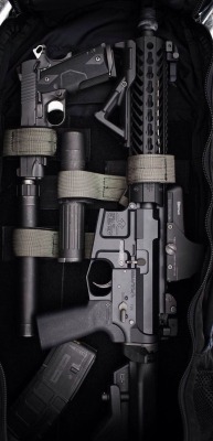 whowinsdares:  igunsandgear:  AR-15 assault rifle by Double D