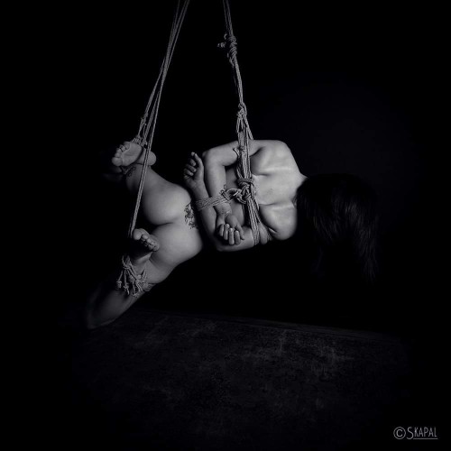 acordesetacris:  Shibari