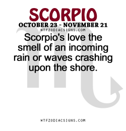 wtfzodiacsigns:  Scorpio’s love the smell of an incoming rain