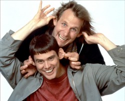 geeksofdoom:  Geek Peek: Jim Carrey & Jeff Daniels back in