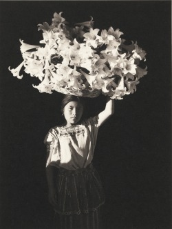 fotojournalismus:  Basket of Light, Sumpagno, Guatemala, 1989.Photo