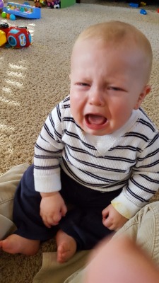 reasonsmysoniscrying:  “I wouldn’t let him eat my ‘I voted’