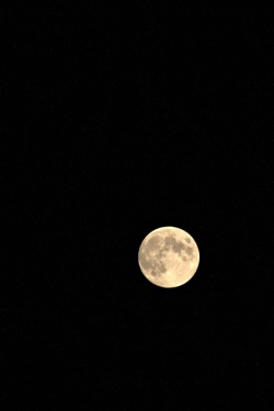 georgia-dream:  I took a picture of the moon tonight in case