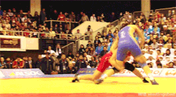 Wrestling is Best