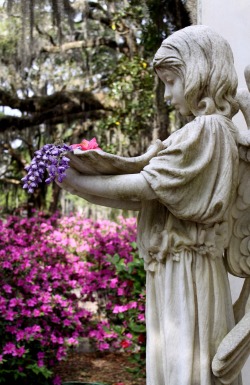 a-loss-forever-new:  coisasdetere:  Bonaventure Cemetery, Savannah,