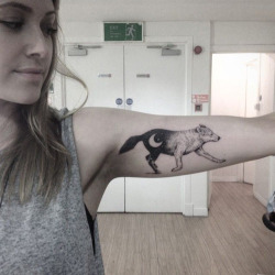 hot-tattoo-girls:  http://hot-tattoo-girls.tumblr.com  LONE WOLF