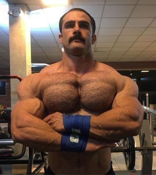musclecorps: