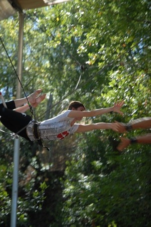 kyotocat:  Throwback Trapeze Sonoma, Ca 